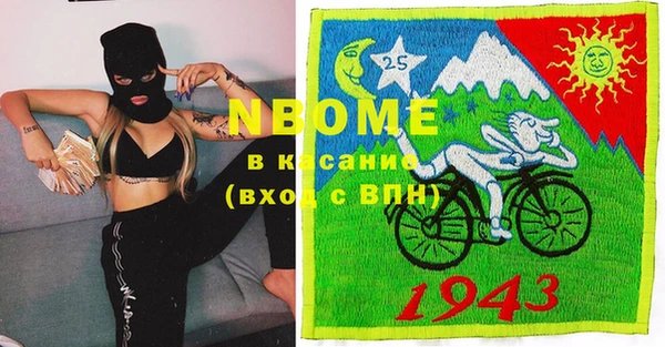 дживик Елабуга