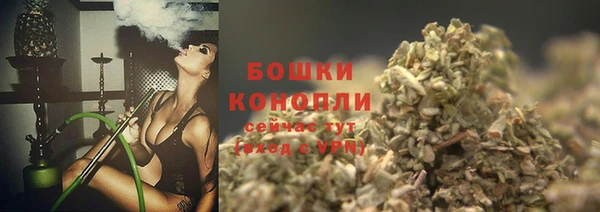 ПСИЛОЦИБИНОВЫЕ ГРИБЫ Ельня