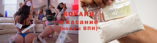 ПСИЛОЦИБИНОВЫЕ ГРИБЫ Ельня