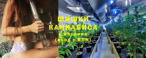 МДПВ Елизово