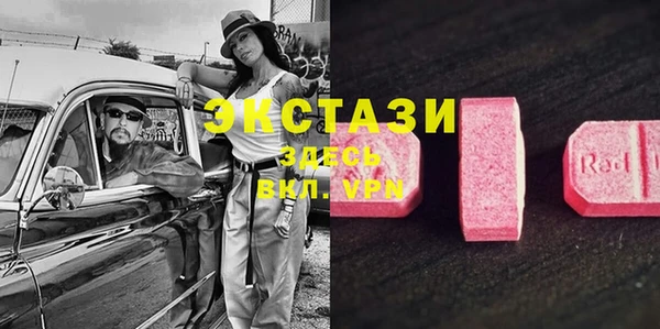ПСИЛОЦИБИНОВЫЕ ГРИБЫ Ельня