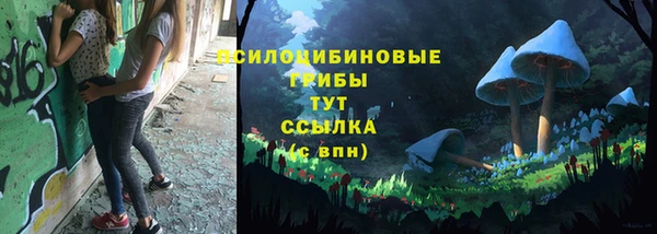 ПСИЛОЦИБИНОВЫЕ ГРИБЫ Ельня