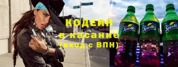 ПСИЛОЦИБИНОВЫЕ ГРИБЫ Ельня