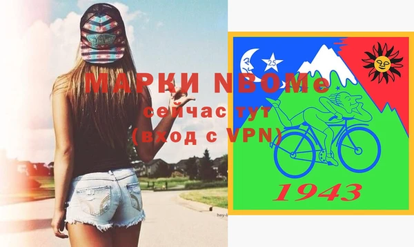 ПСИЛОЦИБИНОВЫЕ ГРИБЫ Ельня