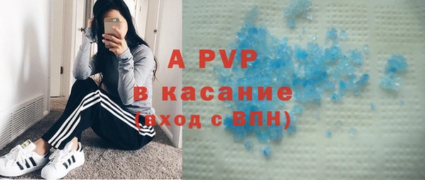 ПСИЛОЦИБИНОВЫЕ ГРИБЫ Ельня