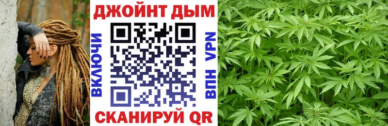 Купить где  Светогорск  Конопля план 